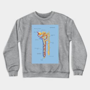 Nephron Of The Kidney, Illustration Crewneck Sweatshirt